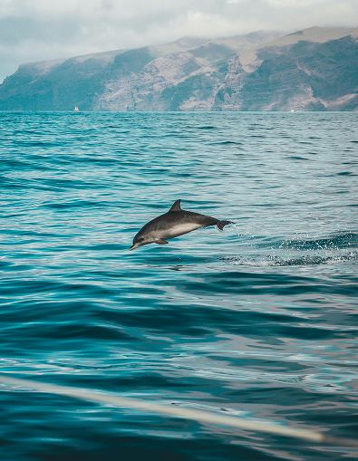 ca142222a3d0a3a3d22771fb2bef90ec6e0e2055 1